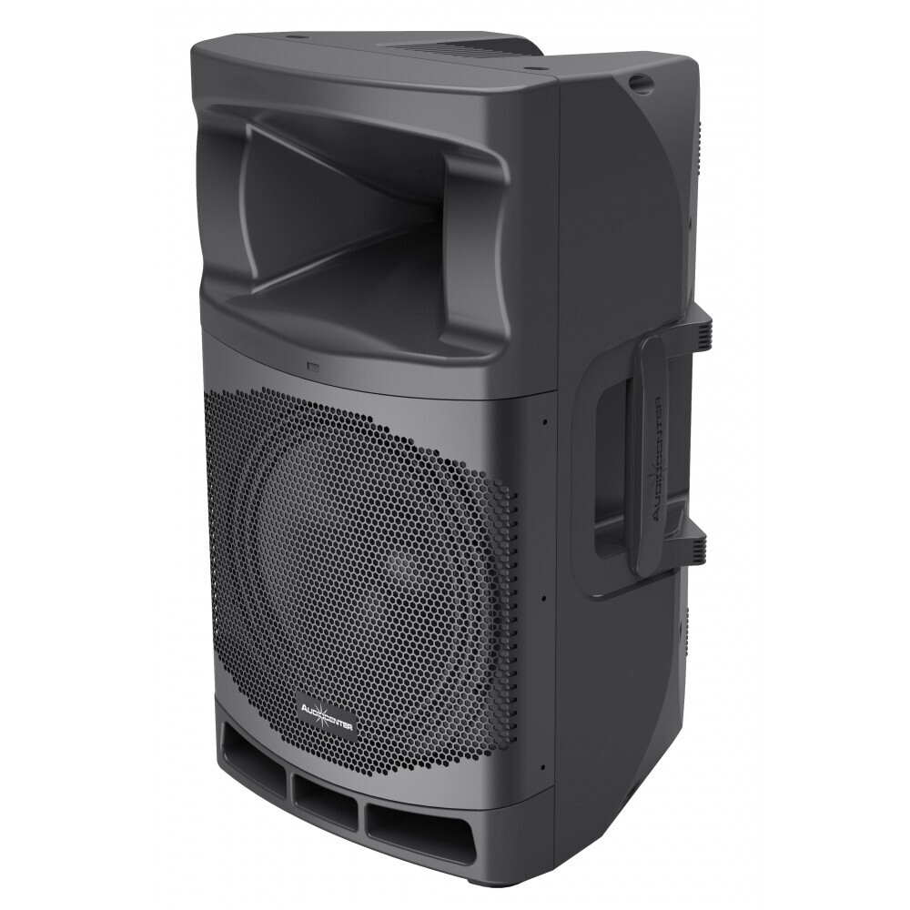 Audiocenter MA12 активная акустическая система в Тавде