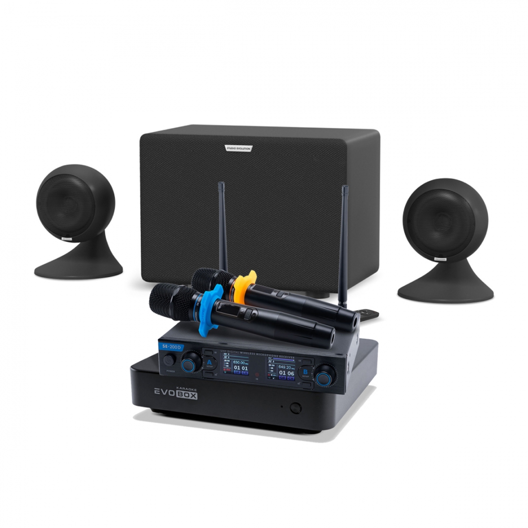 караоке-комплект EVOBOX + EvoSound Sphere 2.1 в Тавде