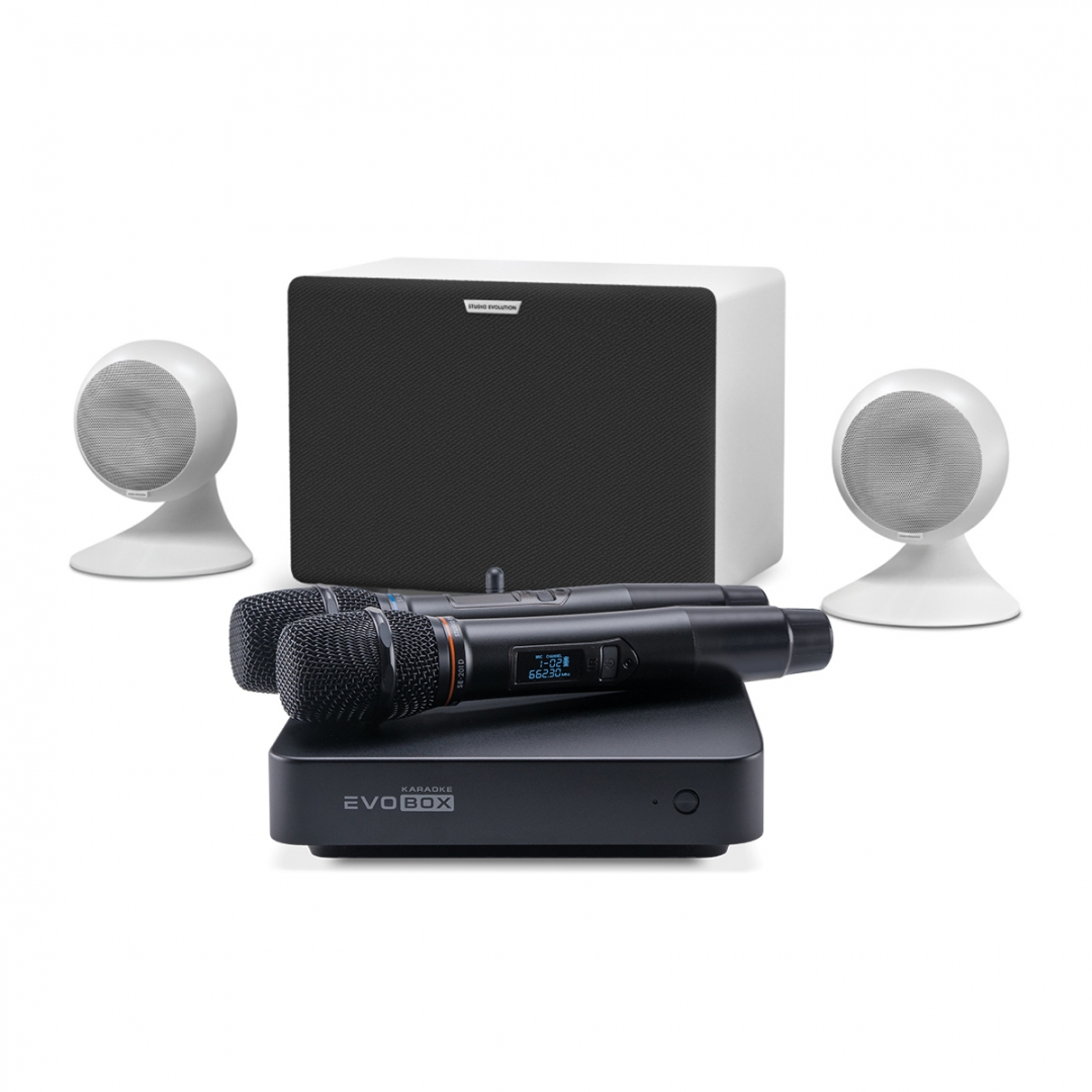 караоке-комплект EVOBOX Classic + EvoSound Sphere 2.1 в Тавде