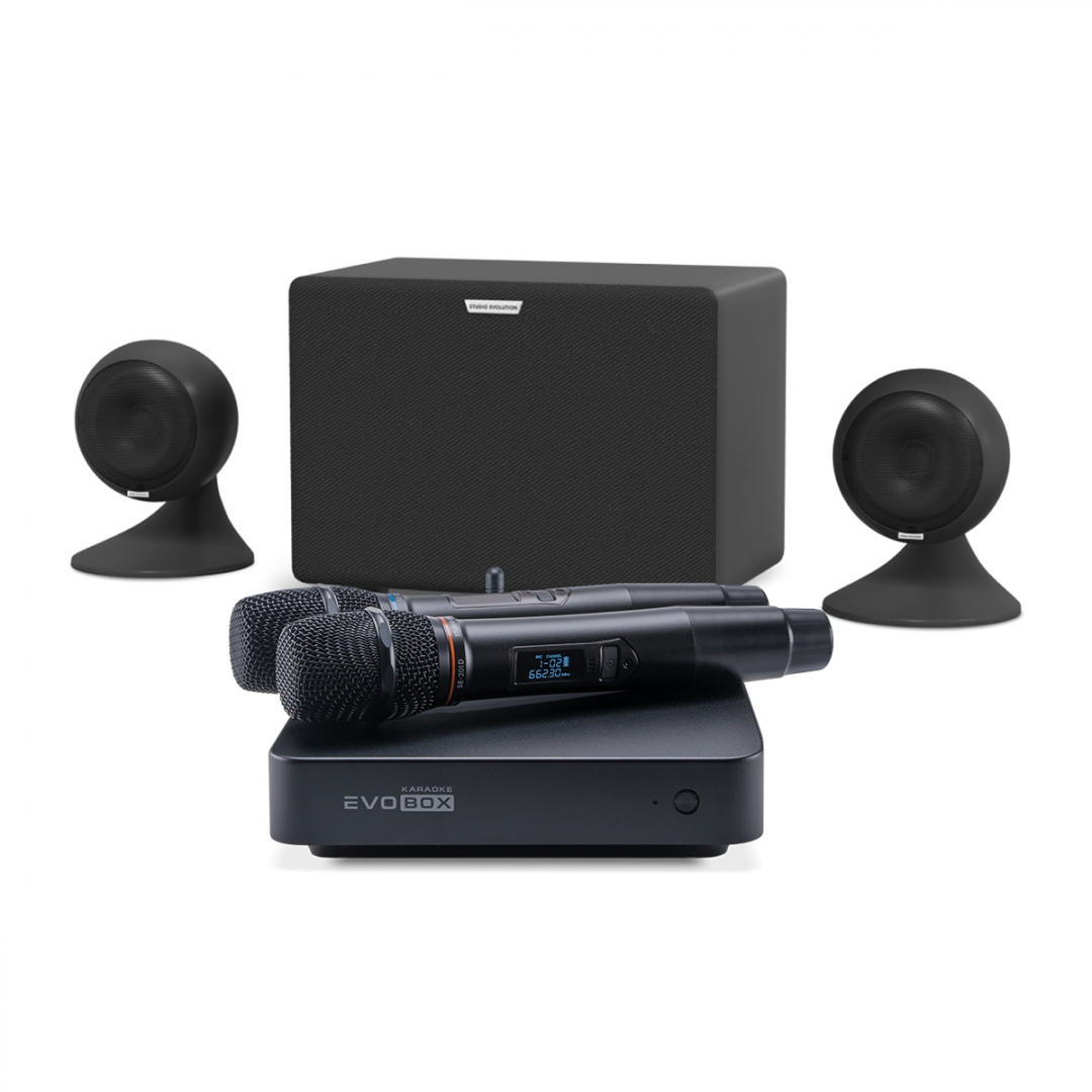 караоке-комплект EVOBOX Plus + EvoSound Sphere 2.1 в Тавде