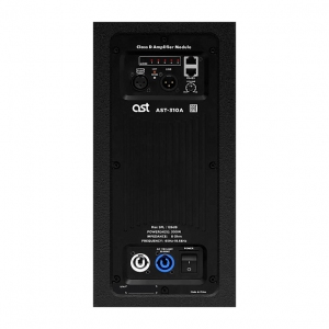 Активная акустическая система AST-310A в Тавде