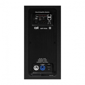 Активная акустическая система AST-312A в Тавде