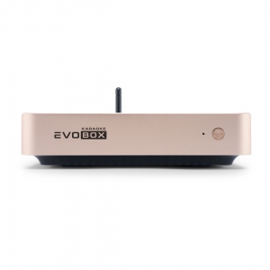 EVOBOX Plus караоке-система для дома в Тавде