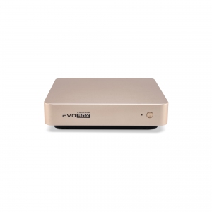 EVOBOX с микрофонами в Тавде
